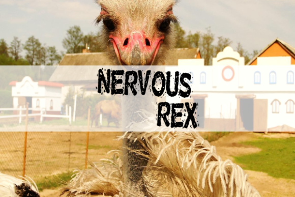 Nervous Rex: A Playful Display Font for Bold Design